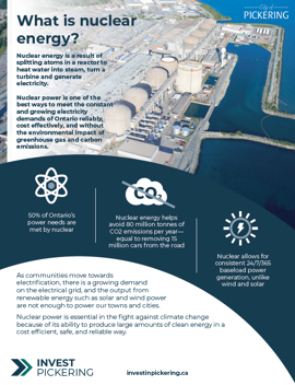 Industry Profile - Nuclear